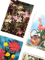 Authentic Vintage/Antique French Postcard - Set of 5 - KZ