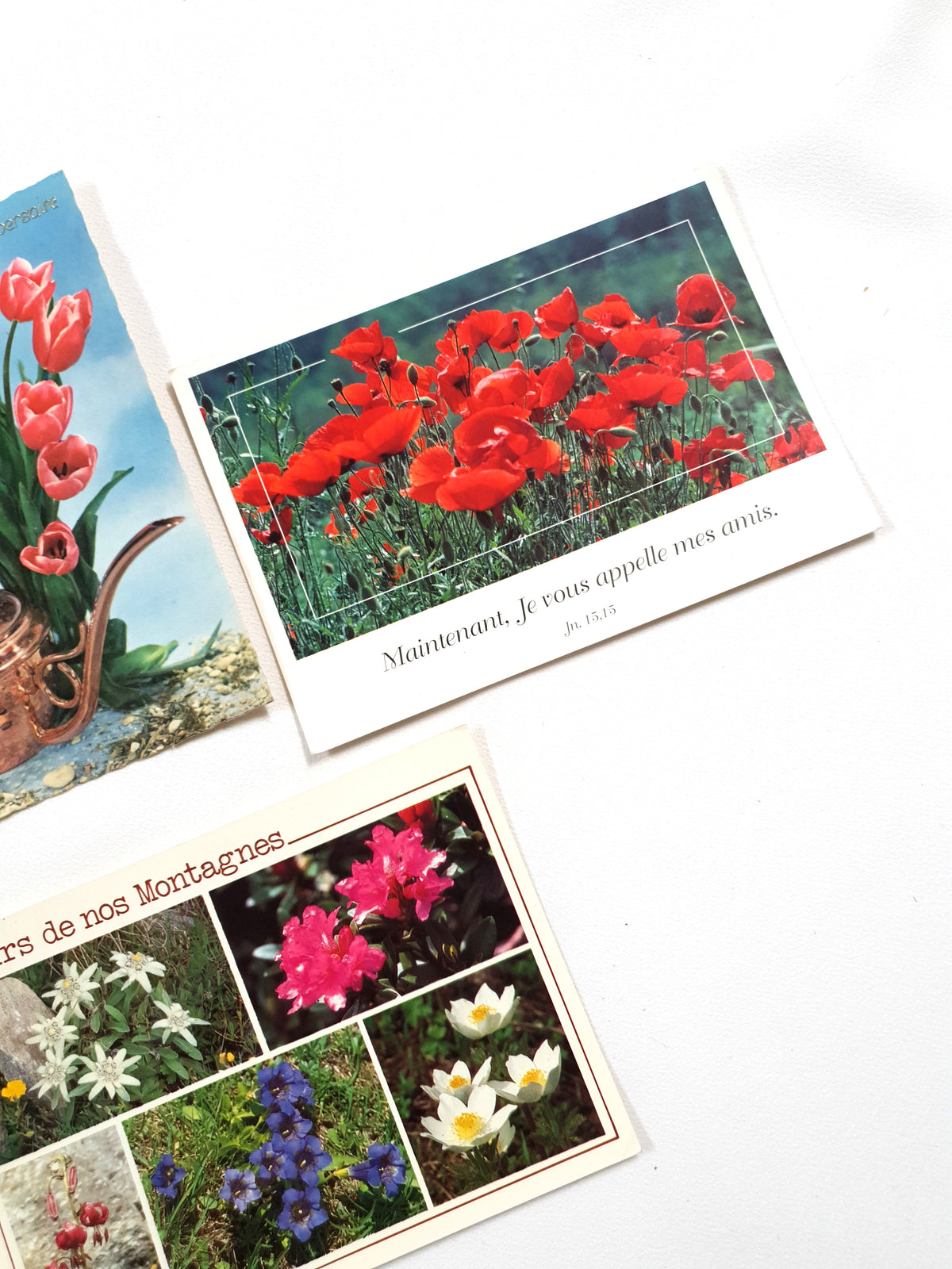 Authentic Vintage/Antique French Postcard - Set of 5 - KZ