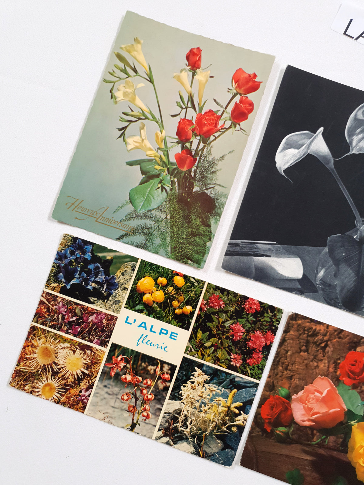 Authentic Vintage/Antique French Postcard - Set of 5 - LA