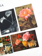 Authentic Vintage/Antique French Postcard - Set of 5 - LA