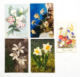 Authentic Vintage/Antique French Postcard - Set of 5 - LB