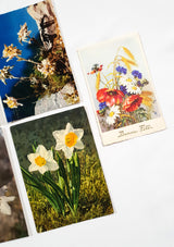 Authentic Vintage/Antique French Postcard - Set of 5 - LB