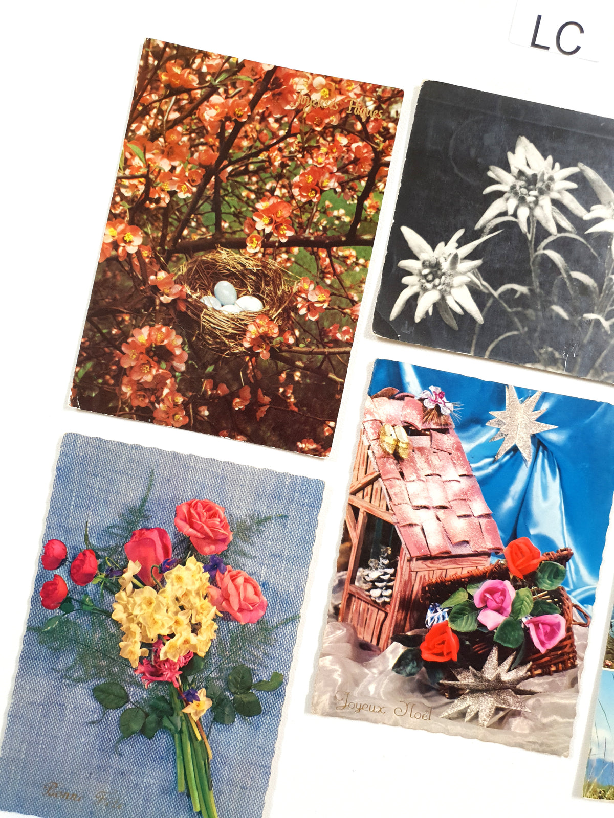 Authentic Vintage/Antique French Postcard - Set of 5 - LC