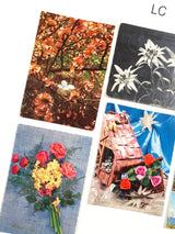 Authentic Vintage/Antique French Postcard - Set of 5 - LC