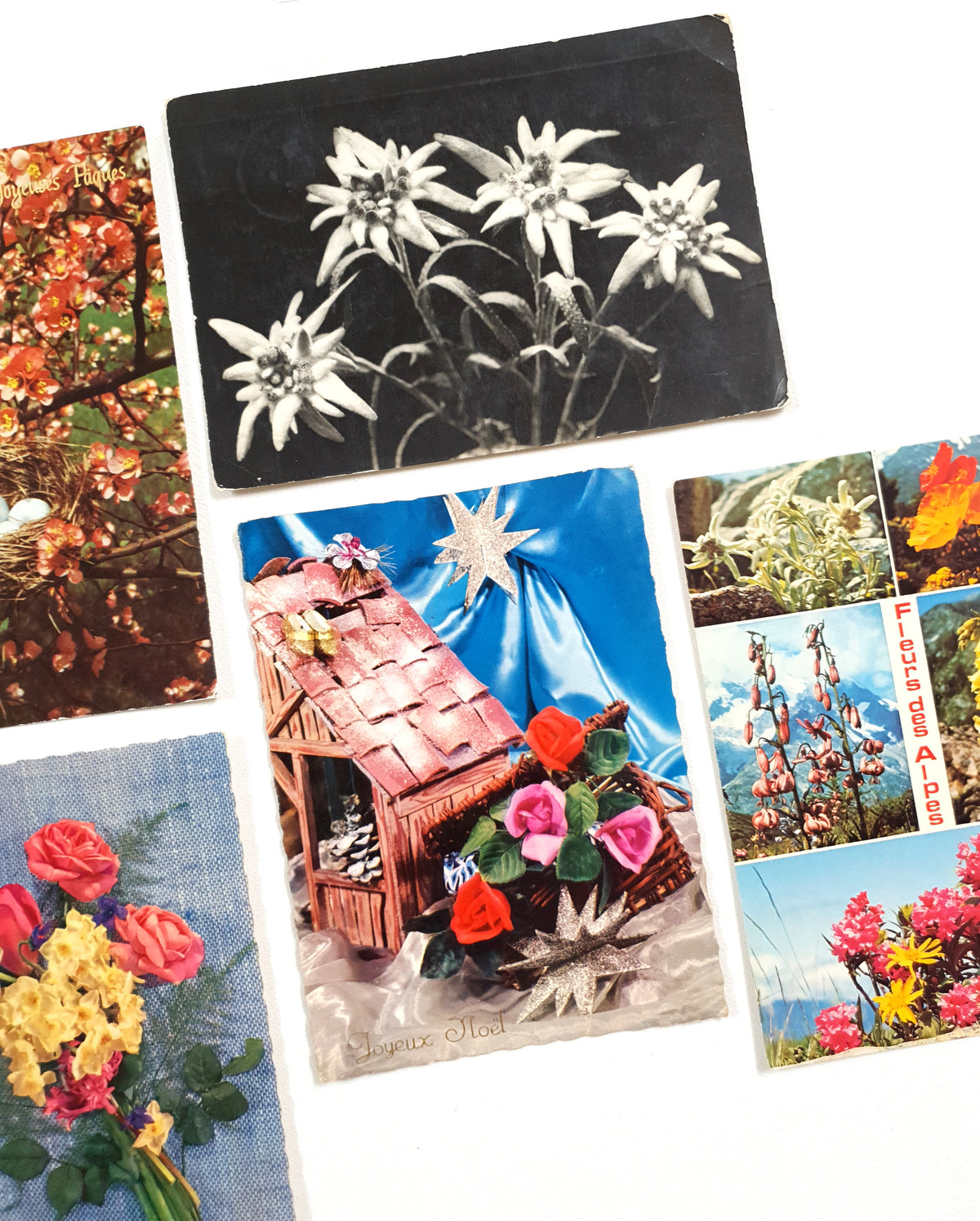 Authentic Vintage/Antique French Postcard - Set of 5 - LC