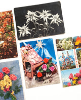Authentic Vintage/Antique French Postcard - Set of 5 - LC