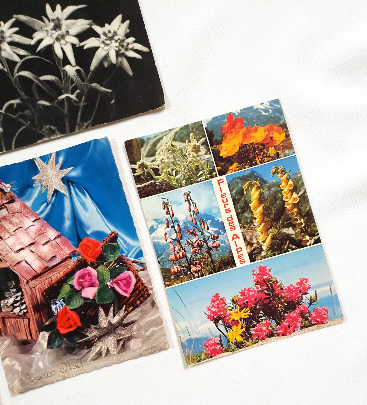 Authentic Vintage/Antique French Postcard - Set of 5 - LC