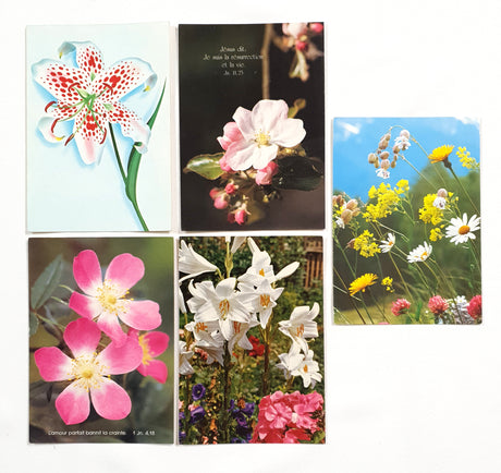 Authentic Vintage/Antique French Postcard - Set of 5 - LD