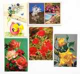 Authentic Vintage/Antique French Postcard - Set of 5 - LE