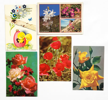 Authentic Vintage/Antique French Postcard - Set of 5 - LE