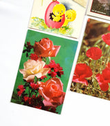 Authentic Vintage/Antique French Postcard - Set of 5 - LE