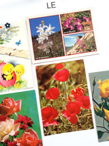 Authentic Vintage/Antique French Postcard - Set of 5 - LE