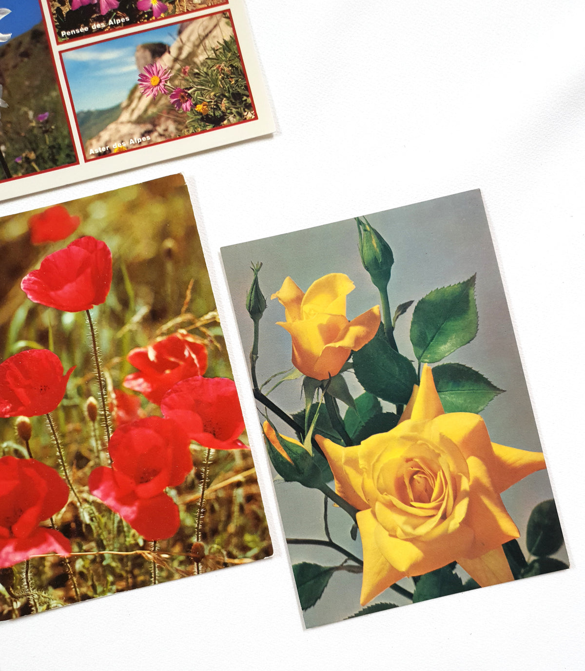 Authentic Vintage/Antique French Postcard - Set of 5 - LE