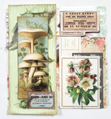Inspiration Pack - MH