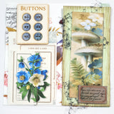 Inspiration Pack - MI