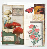 Inspiration Pack - MK