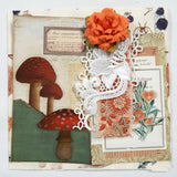Inspiration Pack - MR