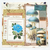 Inspiration Pack - MS