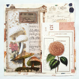 Inspiration Pack - MT