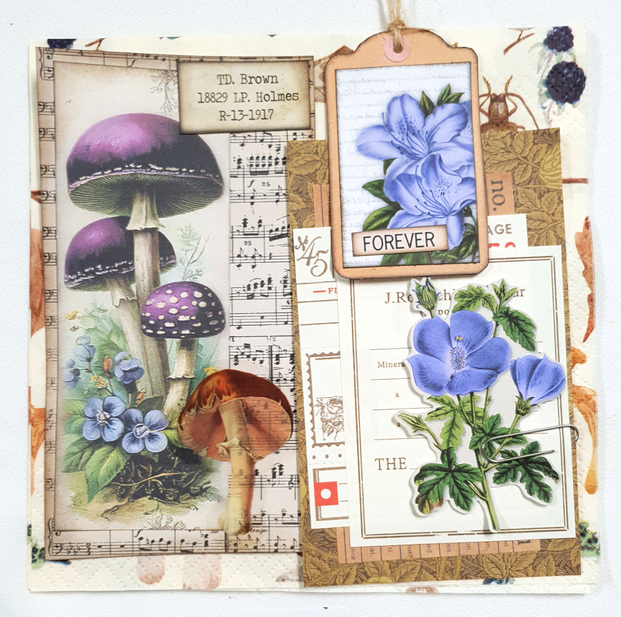 Inspiration Pack - MV