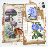 Inspiration Pack - MV