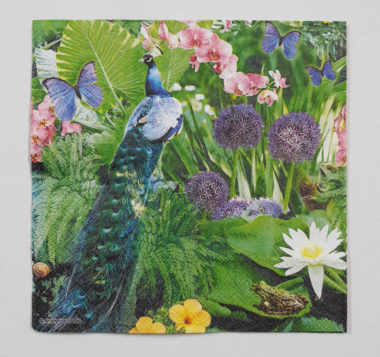 Inspiration Pack - FJ