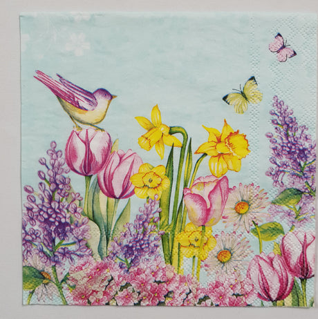 Inspiration Pack - FL