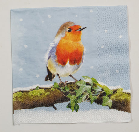 Motherloads Inspiration Pack - IC