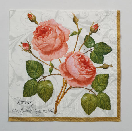 Motherloads Inspiration Pack - IN