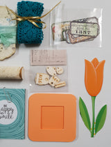 Motherloads Box of Goodies - CF