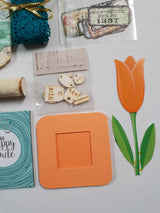 Motherloads Box of Goodies - CF