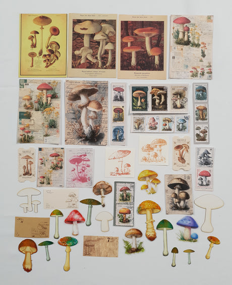 Assorted Mushroom Ephemera Pack - Picked at Random