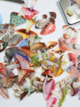 Tin of Assorted Stickers - Mushrooms - FB