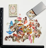 Tin of Assorted Stickers - Mushrooms - FB