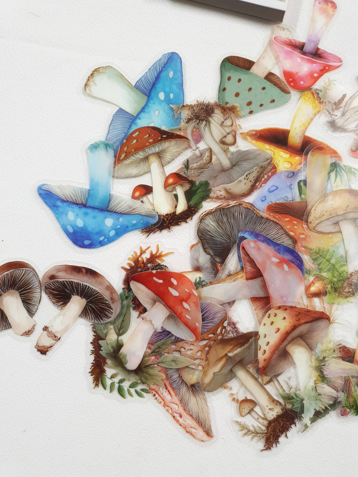 Tin of Assorted Stickers - Mushrooms - FB