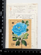 Mini Ephemera Pack - NC - Picked at Random