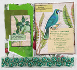 Inspiration Pack - BS