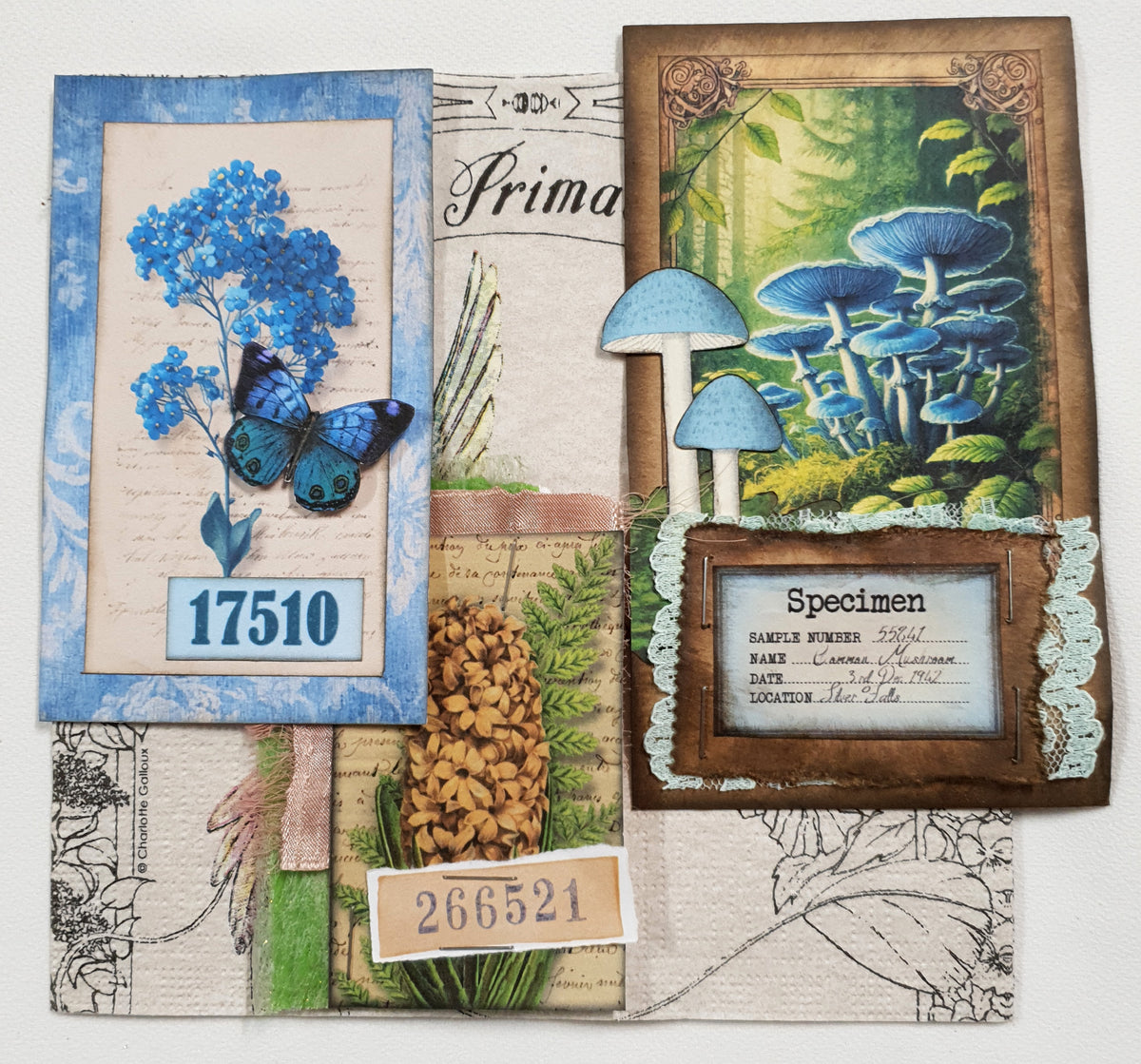 Inspiration Pack - CJ