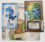 Inspiration Pack - CJ