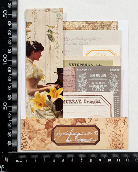 Mini Assorted Ephemera Pack - NM