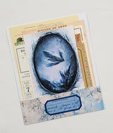 Mini Assorted Ephemera Pack - NV