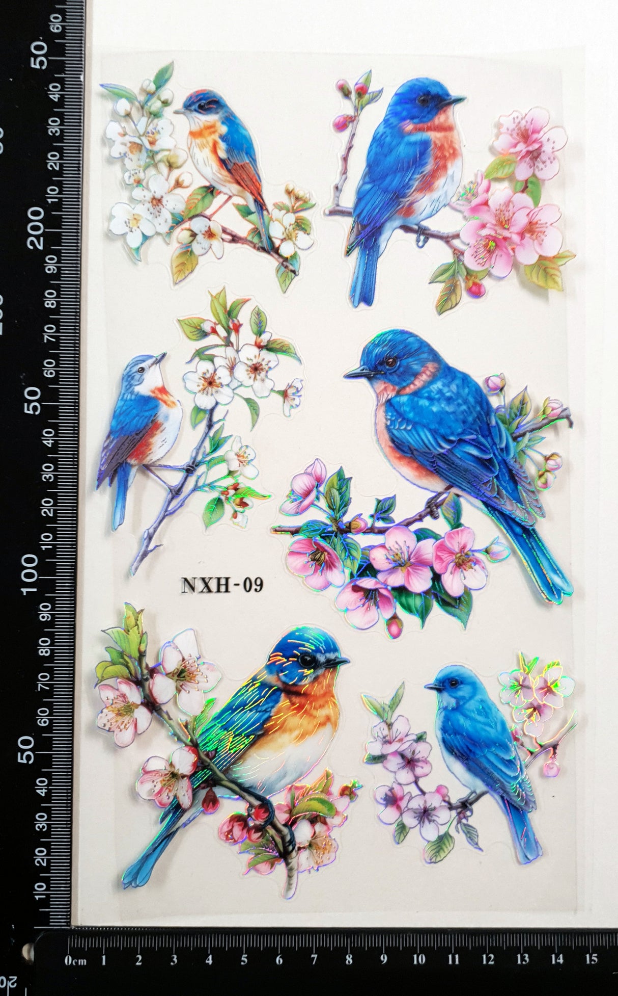Bird Stickers