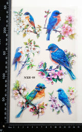 Bird Stickers