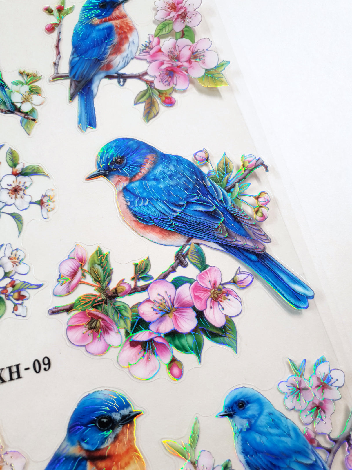 Bird Stickers