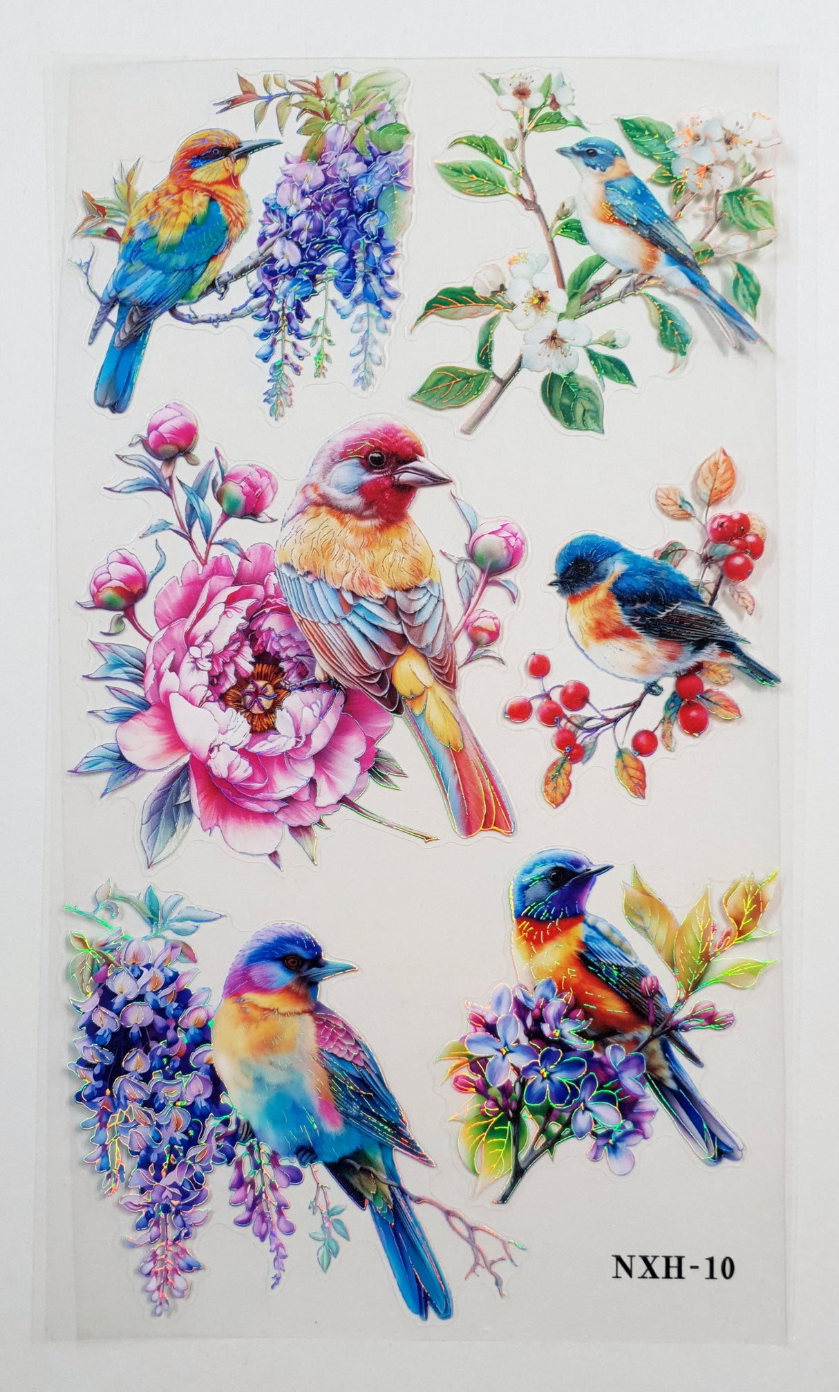 Bird Stickers