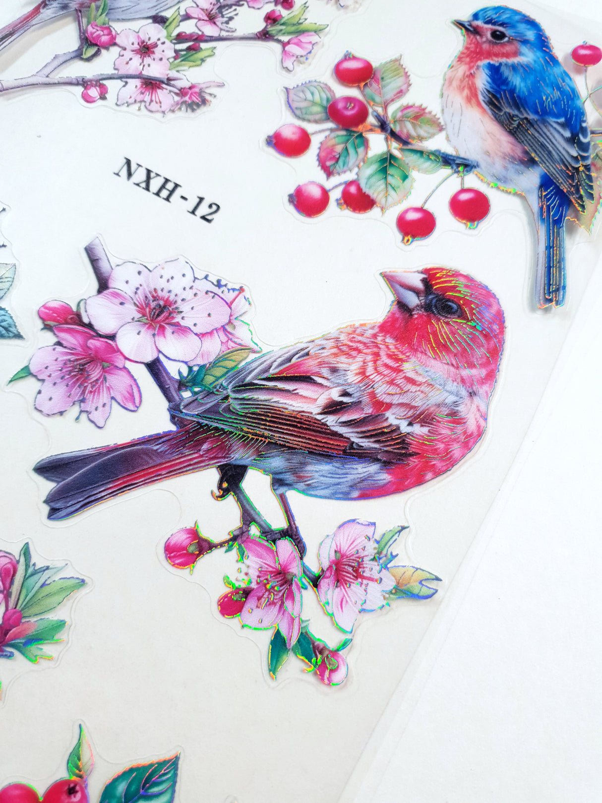 Bird Stickers