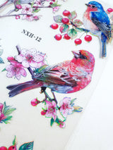 Bird Stickers