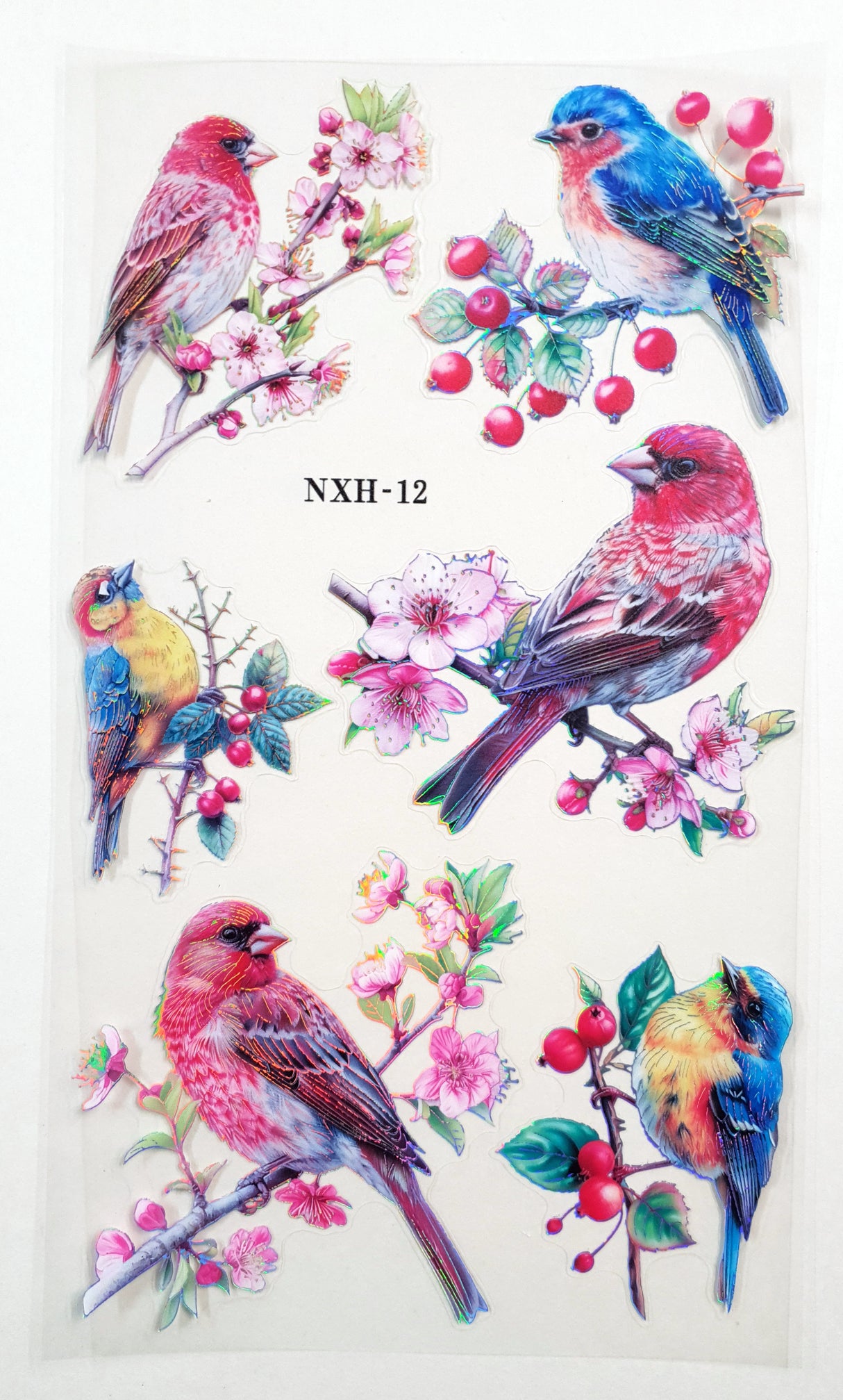 Bird Stickers