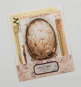 Mini Assorted Ephemera Pack - NZ