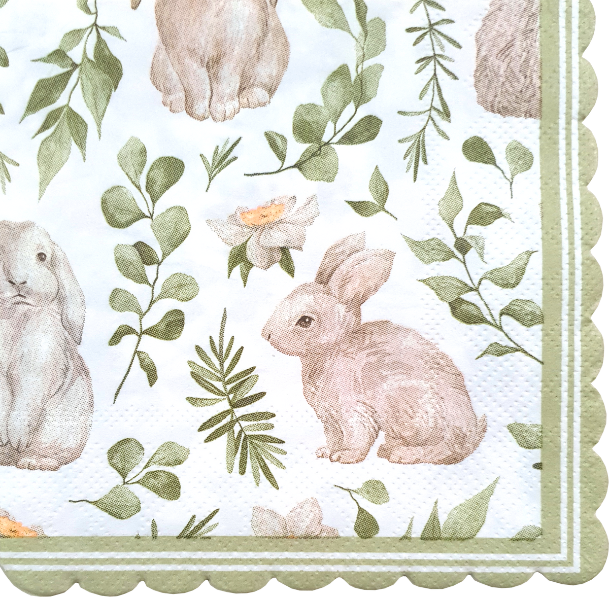 Decoupage Napkin - (DN-8194) - Spring Bunny - Cocktail - Set of 5